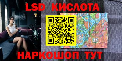 гашик Донецк
