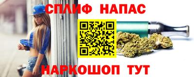 гашик Донецк
