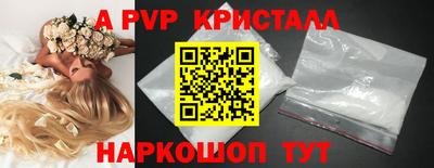 гашик Донецк