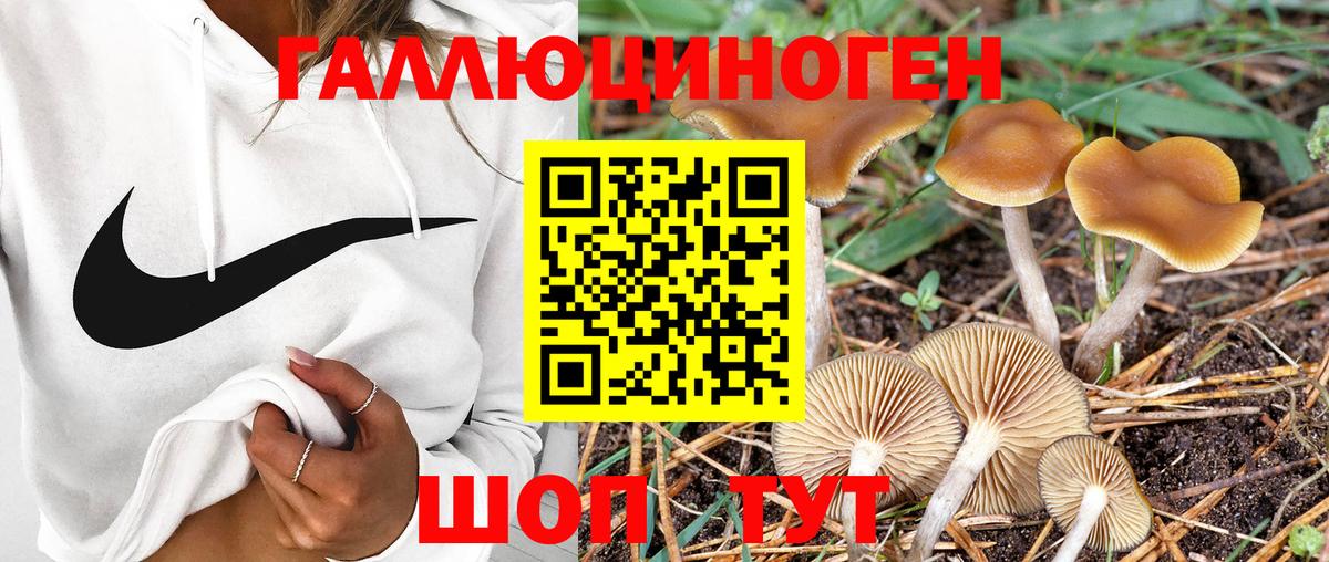 Мирный  Галлюциногенные грибы Magic Shrooms  Вход с VPN 